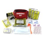 M-13042 One-Day Emergency Fanny Pack Kit